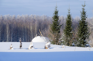 Beautiful landscape of winter to Siberia


