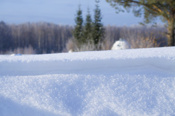 Beautiful landscape of winter to Siberia

