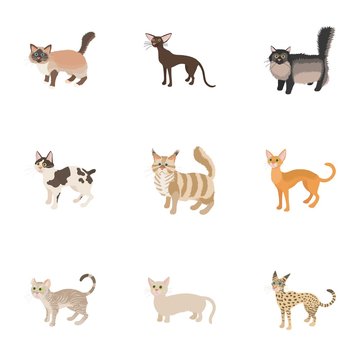 Cat family icons set, cartoon style © juliars