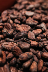 roasted cacao