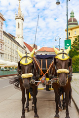 Vienna. A carriage with two horses