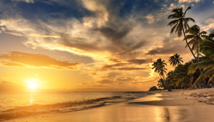 Fototapeta premium Beautiful sunset over the sea with a view at palms on the white beach on a Caribbean island