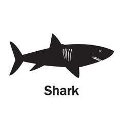 Shark black symbol on the white text