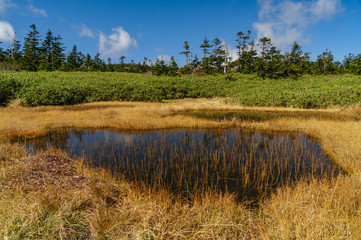 japanese landscape - hachimantai - kazuno - iwate - akita