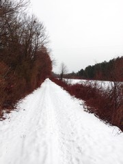 Zimowy szlak podróżny pokryty śniegiem i lodem.
