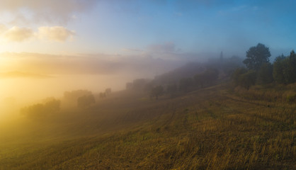 misty morning in Tuscany