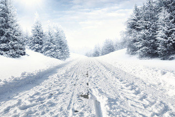 winter road 