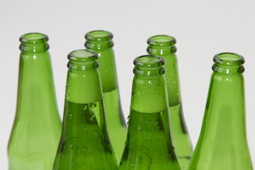 six green beer bottles on white background