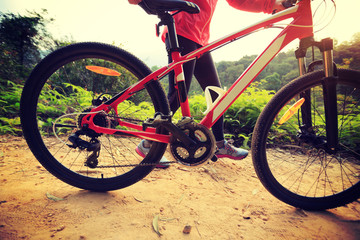 young woman riding mountain bike on forest trail