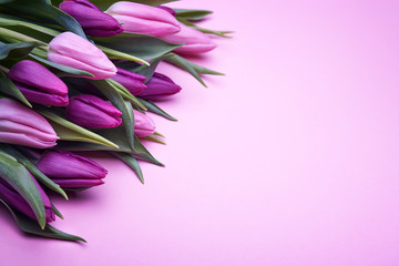 Delicate bouquet of tulips on a pink background