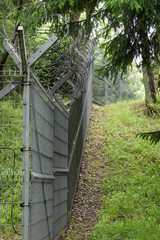 foreground of a barbed wire fence