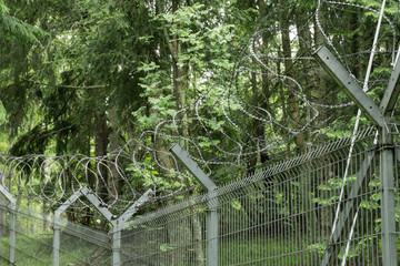 foreground of a barbed wire fence