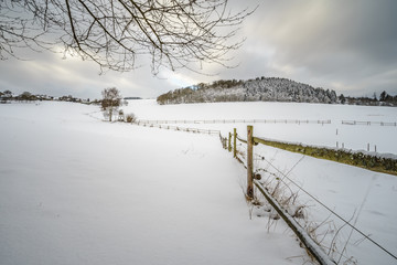 Winterlandschaft im Hunsrück