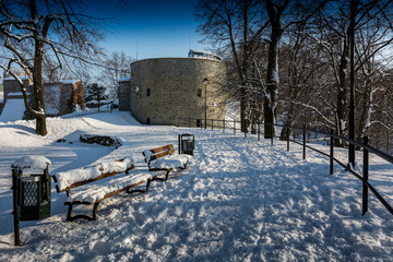 Przemyśl park. Zima © Pawel Gruntowicz