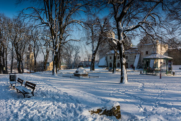 Przemyśl park. Zima
