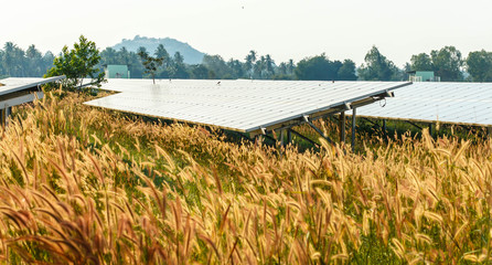 Fototapeta premium background of photovoltaic modules for renewable energy