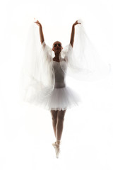 Fototapeta na wymiar one young woman ballerina ballet dancer dancing with tutu in silhouette studio on white