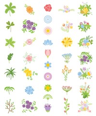 Colorful floral collection with flowers and leaves