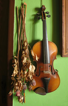 violin end bow