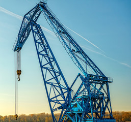 Fototapeta na wymiar Blue crane on bright blue sky