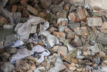 scene of the crime, rape