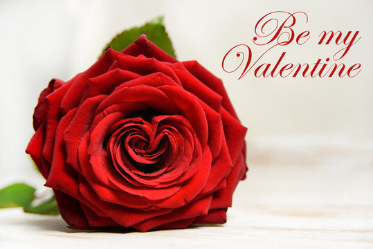 Be my Valentine text with red rose. Valentine's day background with copy space 