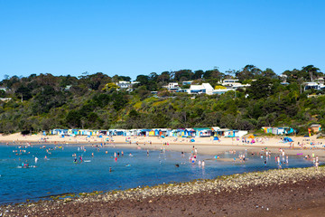 Mills Beach in Mornington