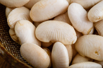Close up of wet white beans in sifter or mesh strainer.