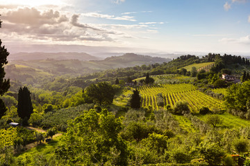 Fototapeta na wymiar Lush Tuscany landscape at springtime