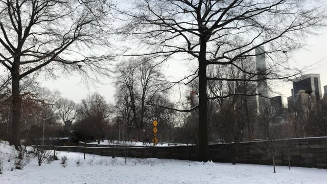 Snow in Central Park, 66th st, New York, 4K