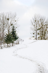 Fototapeta na wymiar Winter landscape, path to the top of the snowy mountain,