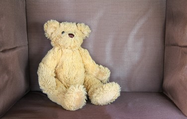 brown bear doll sitting on brown background