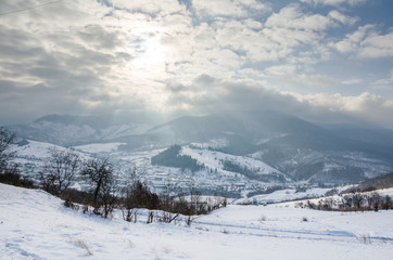 Fototapeta na wymiar Winter landscape, the tops of the Carpathian mountains under cov