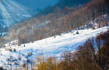 Winter landscape, the tops of the Carpathian mountains under cov