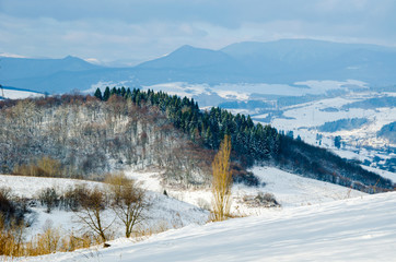 Winter landscape, the tops of the Carpathian mountains under cov