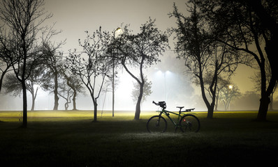 Foggy and mysterious landscape of the park at night, bicycle on the field.