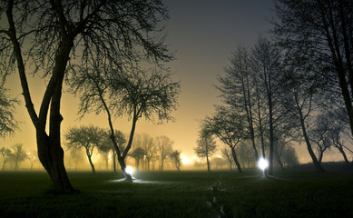 Landscape of foggy and mysterious park at night. Empty area. Only lights are shining