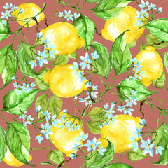     Vintage seamless watercolor pattern - hand drawing threads of lemon with flowers, leaves. Trendy pattern. Painting
Citrus fruits 