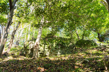Fototapeta premium Mt. Kanuki hiking route