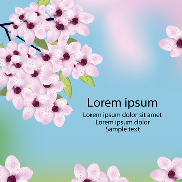 Card with cherry or sakura blossom and text. Vector