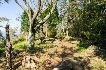 Fototapeta na wymiar Mt. Kanuki hiking route