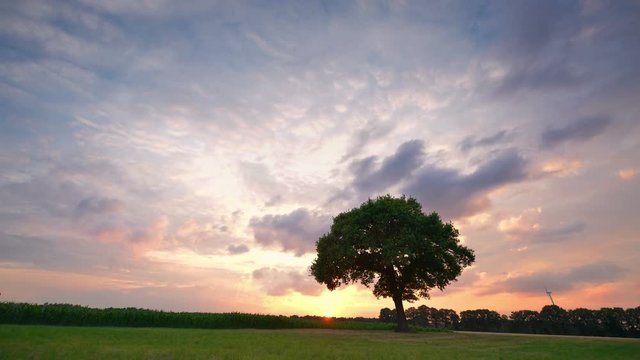 sunset clouds and tree time lapse long 4k UHD 11662
