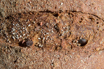 Macro texture of golden toasted bread with cereals. Fresh home baking in the sun light.