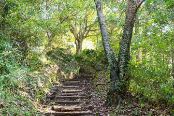 Mt. Kanuki hiking route