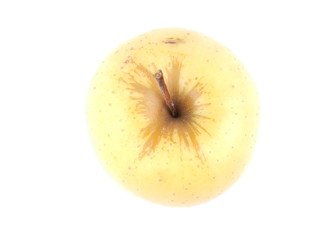 apple on a white background