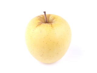 apple on a white background