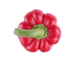 red bell pepper on a white background