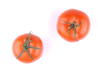 tomato on a white background