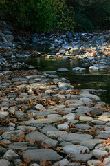 Rocks and Green Water in Autumn