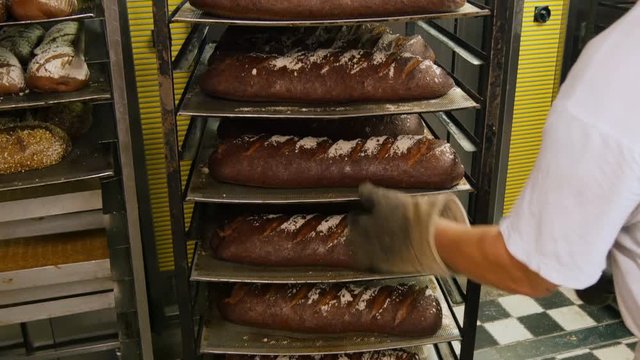 german baker controlling large traditional breads 4k 11724
